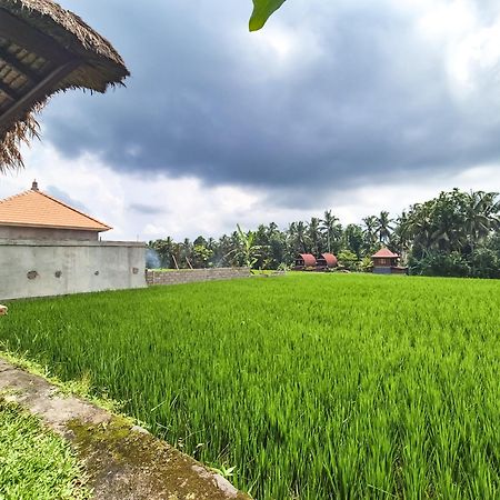 Villa Padi Menari أوبود المظهر الخارجي الصورة