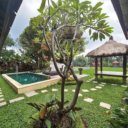 Villa Padi Menari أوبود المظهر الخارجي الصورة