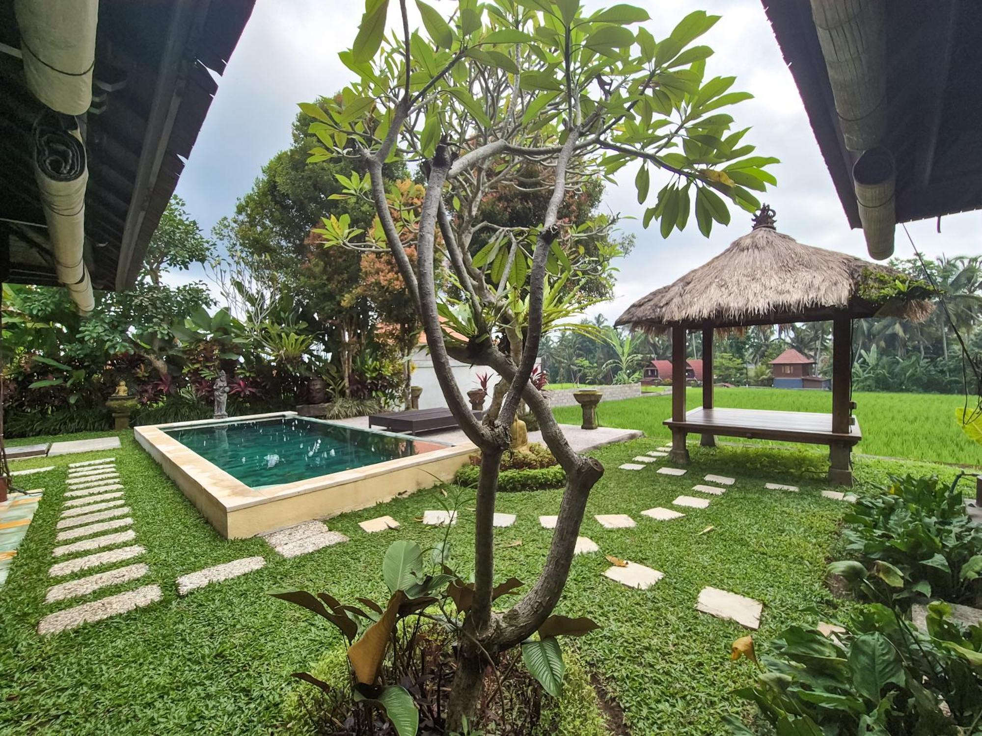 Villa Padi Menari أوبود المظهر الخارجي الصورة