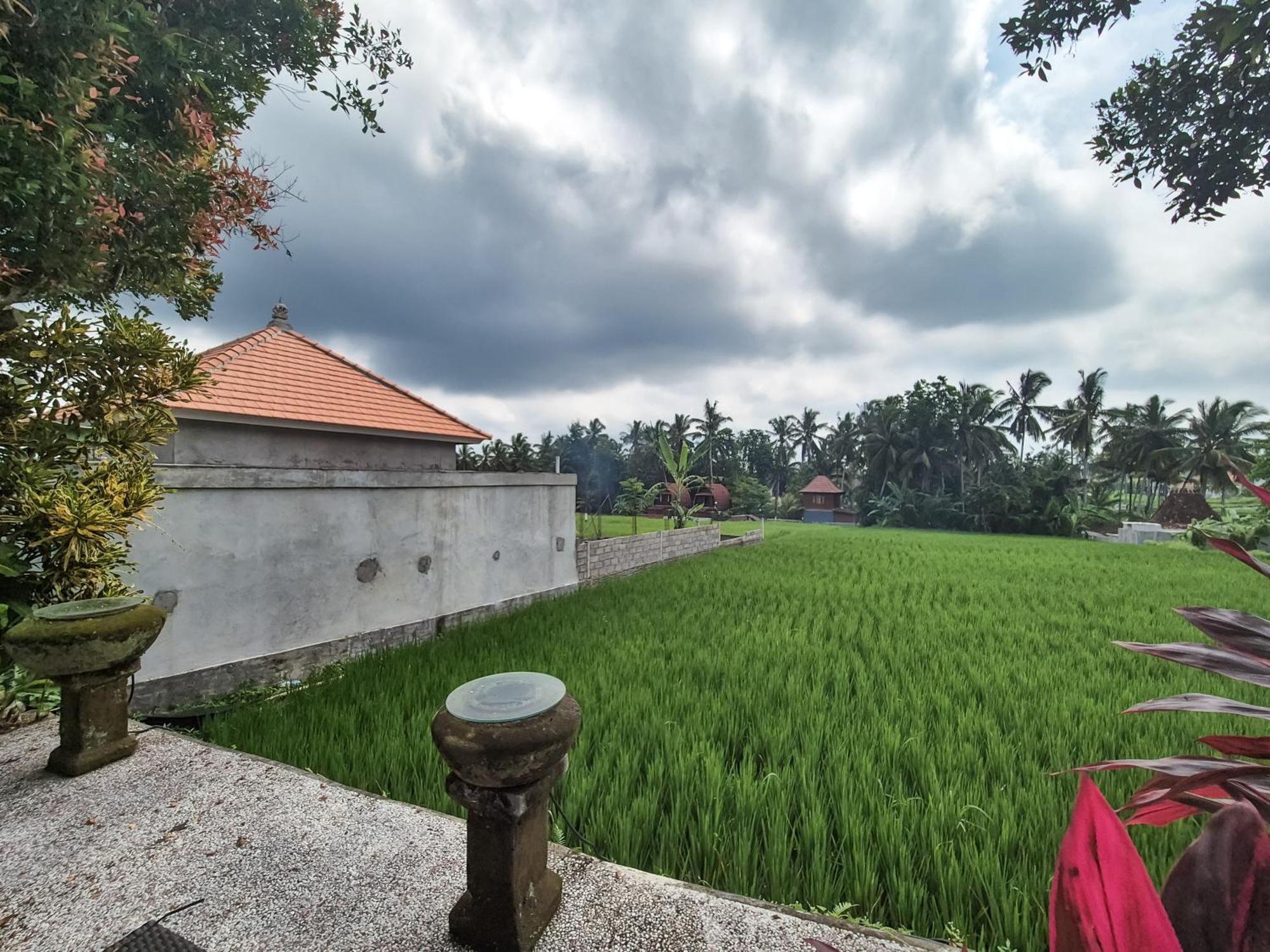 Villa Padi Menari أوبود المظهر الخارجي الصورة