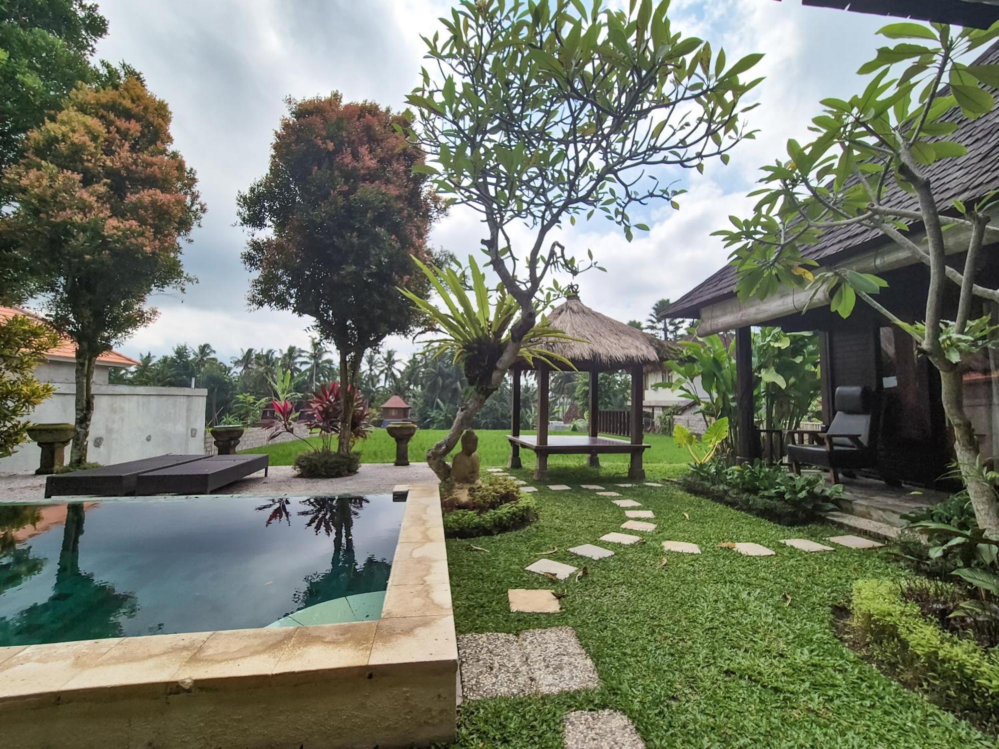 Villa Padi Menari أوبود المظهر الخارجي الصورة