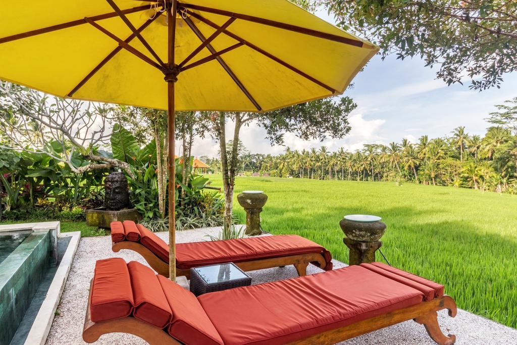 Villa Padi Menari أوبود المظهر الخارجي الصورة